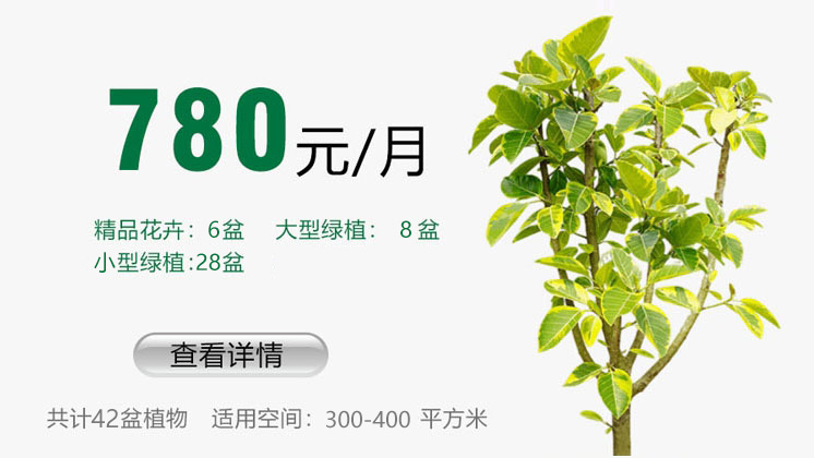 780元套餐